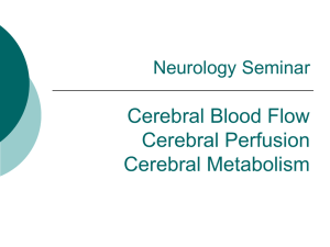 Neurology seminar - Selam Higher Clinic