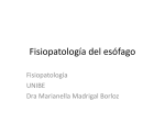 Enfermedades Esofago - Fisiopatología y Patología