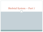 Skeletal_–_Part_7