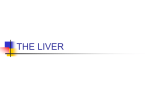 THE LIVER - Orange Coast College