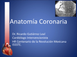 Anatomia coronaria