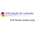 Articulação do cotovelo