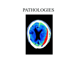 HEAD , FACIAL BONES, SINUSES, AND ORBITS