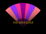 THE SHOULDER
