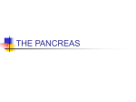 THE PANCREAS - Orange Coast College