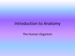 Introduction to Anatomy - Mt. Olive School District