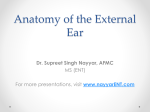 ANATOMY OF THE EAR