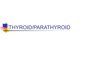 THYROID/PARATHYROID - Orange Coast College