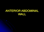 ANTERIOR ABDOMINAL WALL - University of Kansas Medical …