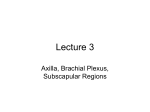 Lecture 3