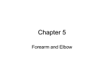 Chapter 4