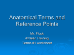 Lesson 1 Anatomical Terms and Reference Points