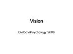 Vision - Dave Brodbeck