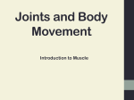 Joint and movement ID