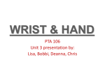 WRIST & HAND