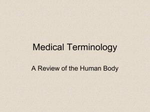 medical terms