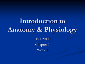 Introduction to Anatomy & Physiology