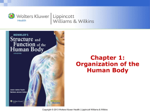 Chapter 1: Organization of the Human Body