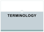 terminology