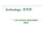 Arthrology - 山东大学医学院人体解剖学教研室