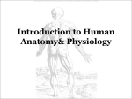 Chapter 1: Introduction to Human Anatomy& Physiology