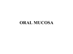 ORAL MUCOSA