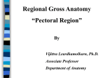 Regional Gross Anatomy “Pectoral Region”
