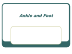 Ankle_Foot