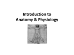 Introduction to Anatomy & Physiology - CHOW