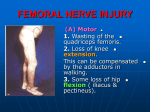 22-nerve injuries (L..