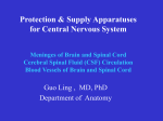 Meninges of brain & spinal cord(out inward)