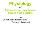 Physiology of Autonomic Nervous System Second Year Medicine