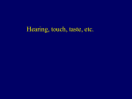 Hearing, lateral line, electrorecept.