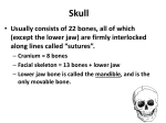 Skull notes