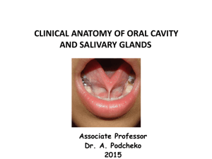 Clinical Anatomy of Oral Cavity