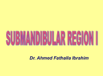 14-submandibular region I