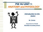 lecture 1 anatomy & physiology
