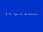 I. The Appendicular Skeleton