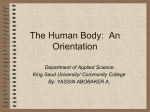 The Human Body: An Orientation