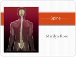 ~Spine