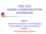 The Respiratory System