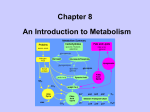 Metabolism PPT