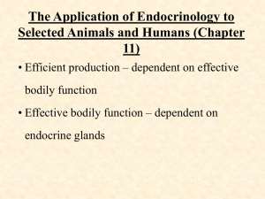 Chapter 1: Animal Agriculture