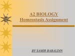 Homeostasis 1