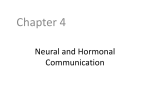 Neural and Hormonal Communication