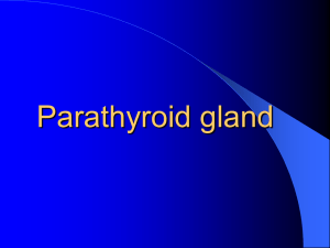 Parathyroid gland