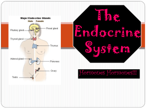The endocrine system is founded on hormones and glands.