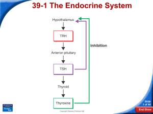 39-1 The Endocrine System