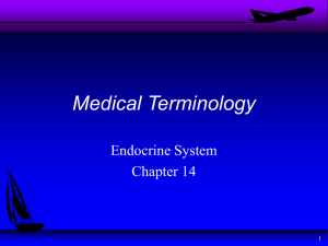 Medical Terminology