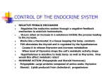 CONTROL OF THE ENDOCRINE SYSTEM